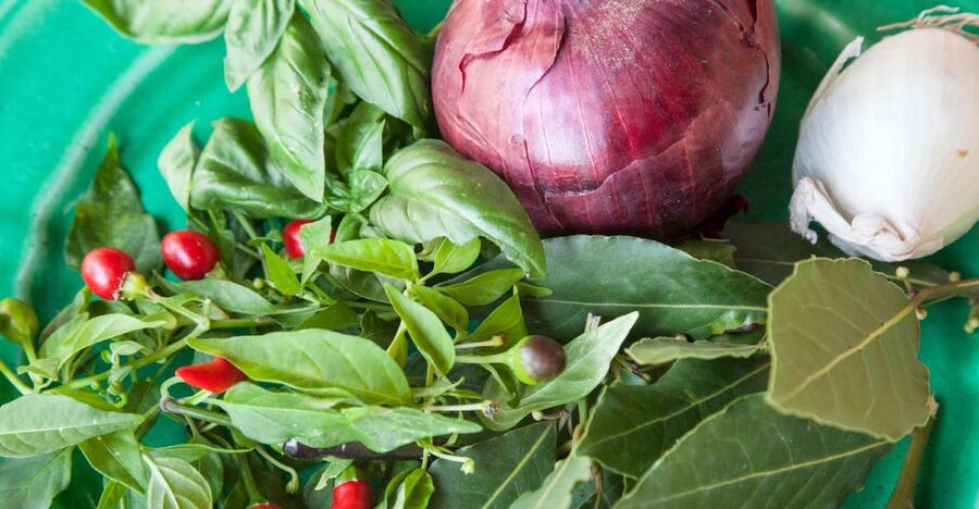 Lecce: Market and Private Cooking Class at a Local's Home - From shopping basket to family kitchen