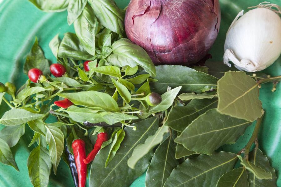 Lecce: Private Cooking Class at a Local's Home - Who will enjoy this most