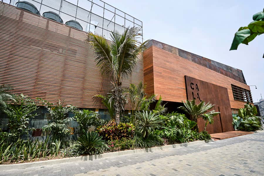 Lima: Demo Cooking Class with Lunch at Cala Restaurant - Should you book Cala’s cooking class?