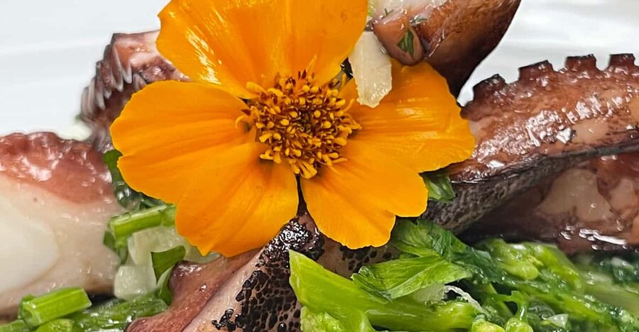 Lisbon: Market Experience & Cooking Class - Practical details before you reserve