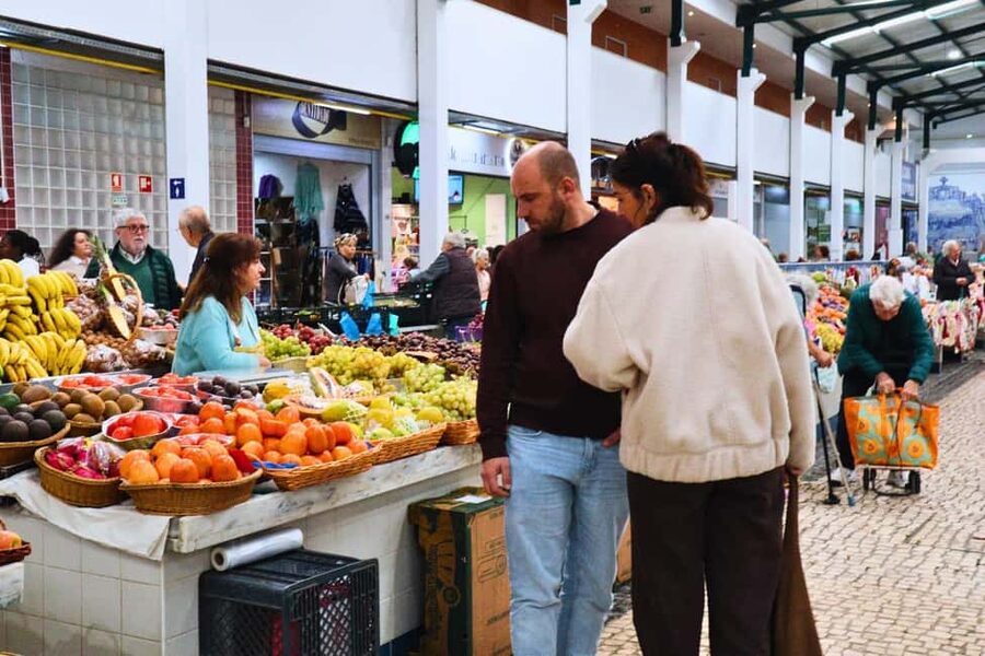 Lisbon: Setúbal Market and Wine tour with Cooking class - Who will enjoy this experience most