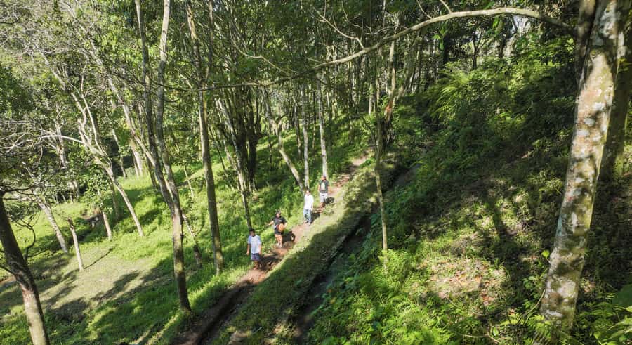 Lombok: Tetebatu Walk, Waterfall, Monkey Forest & Cooking - Key points to know before you go