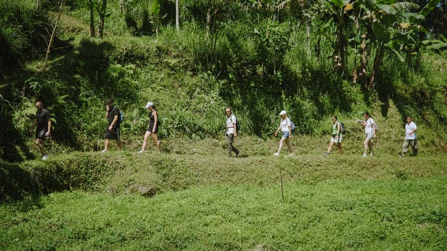 Lombok: Tetebatu Walk, Waterfall, Monkey Forest & Cooking - Meeting Tetebatu’s black monkeys
