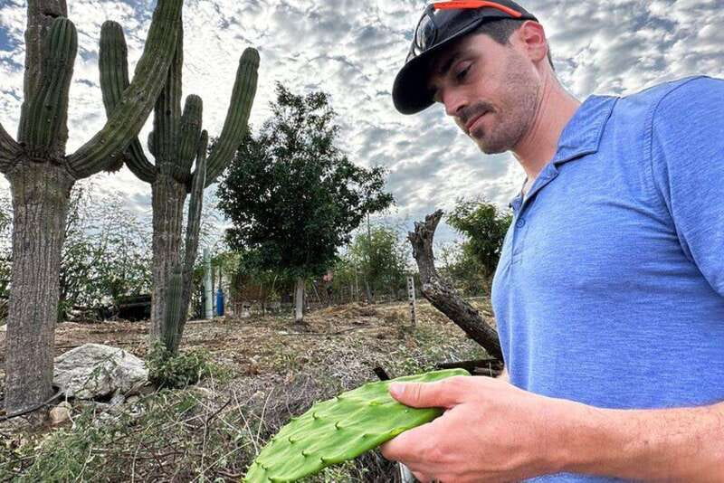 Los Cabos: Azteca Cactus Taco Farm to Table Cooking Class - A natural beach walk before the sunset