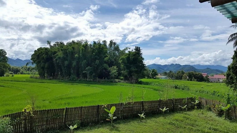 Luang Prabang: Evening Cooking Class & Local Baci Ceremony - The Baci Ceremony and Its Meaning