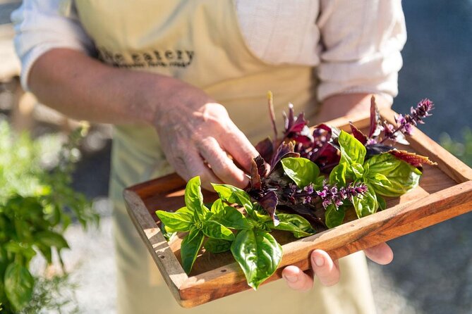 Maggie Beer's Farm Cooking School and Seasonal Lunch - The menu demonstration comes first