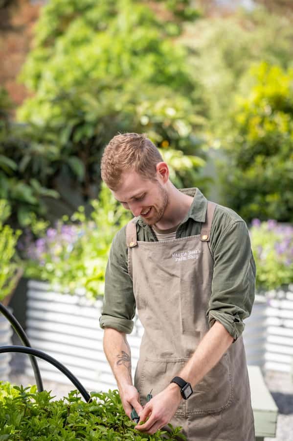 Maggie Beer's Farm Hands-on Cooking School and Lunch - Timing, age limits, and planning your day