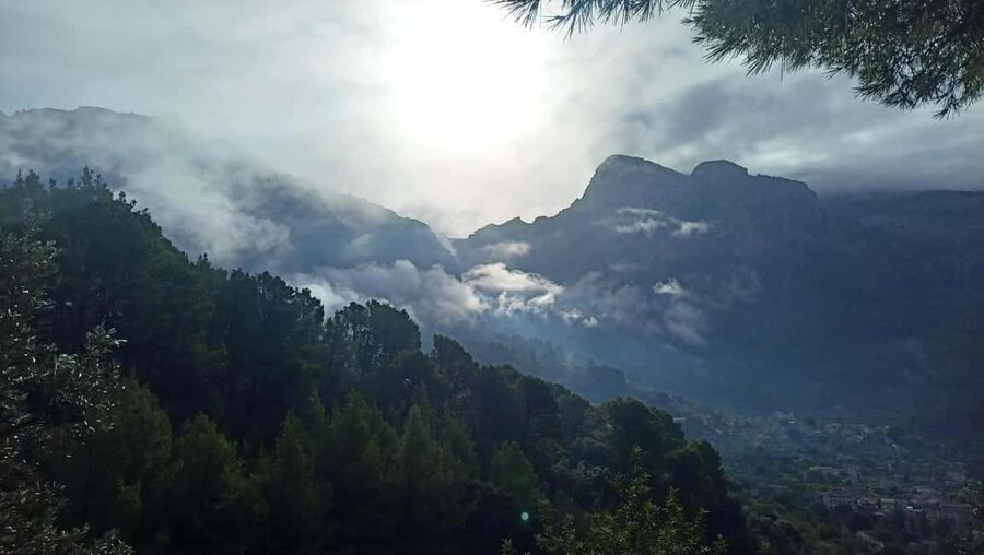 Mallorca: Paella Cooking Class in the Tramuntana Mountains - Key points to know before booking