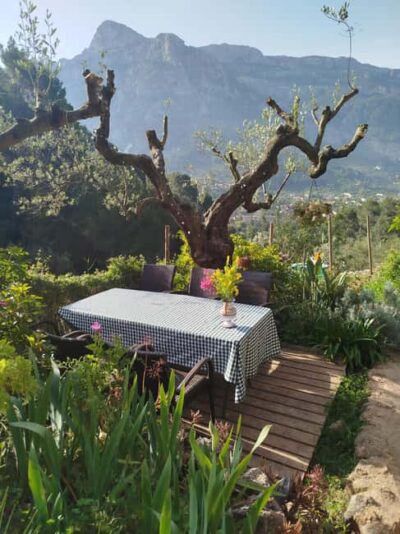 Mallorca: Paella Cooking Class in the Tramuntana Mountains