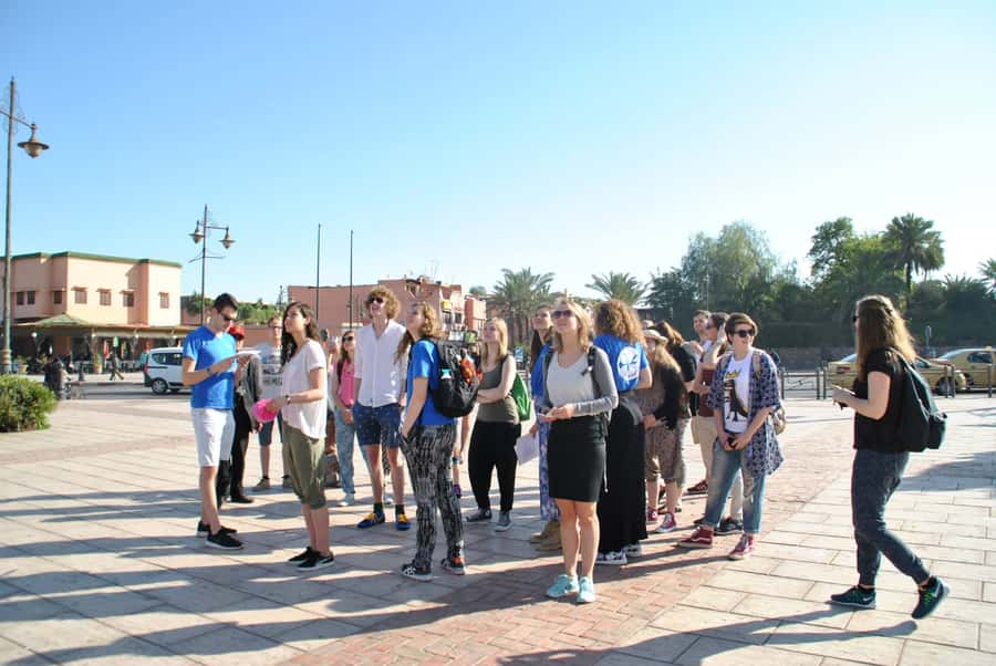 Marrakech: Cooking class in Marrakech by Chef Ayoub - Price, pickup, and the unclear timing