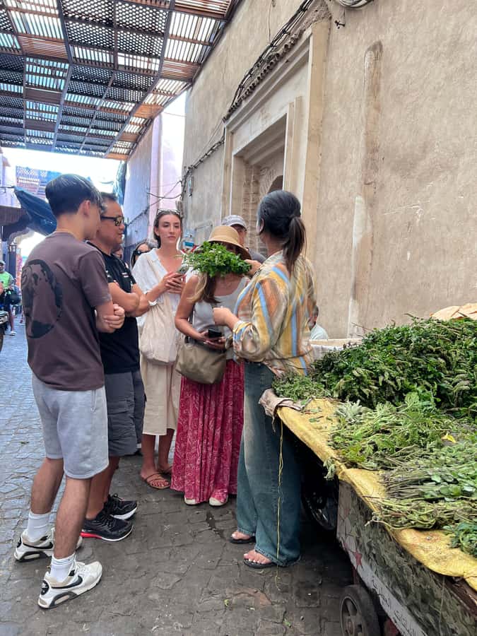Marrakech: Traditional Moroccan Cooking Class & Market Visit - Practical advice before you go