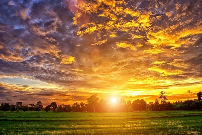 Mekong Day Trip Explore Village Bicycle CookingClass Group 12 Pax - How the $29 price measures up