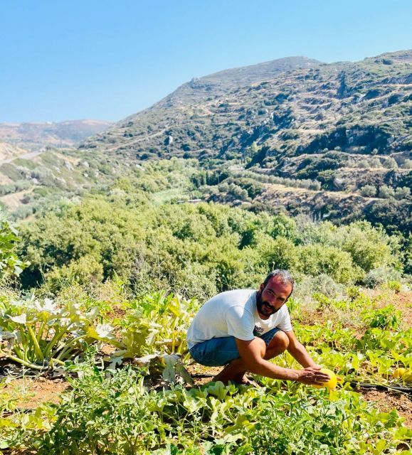 Melanes: Naxos Perivoli Farm & Cooking Class with Wood Fire - Final call: book it if food and place matter equally