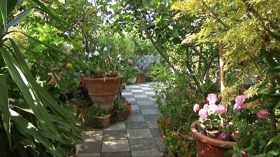 Milan: Pasta, Ravioli, and Gelato Class in a Glamorous Home - Entering a Historic Milan Home Near Coni Zugna