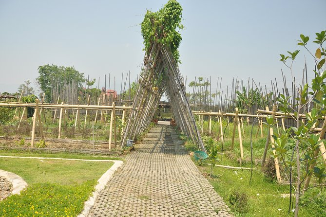 Morning Cooking Class in Organic Farm with Local Market Tour - Is $29 a good value in Chiang Mai?