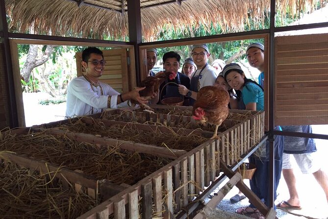 Morning Cooking Class in Traditional Pavilion with Beautiful Garden - Chiang Mai - Who will enjoy this morning most?