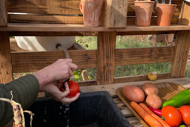 Moroccan Cooking Class and Eco-Farm Visit - Full day - Three hours of Moroccan tagine cooking
