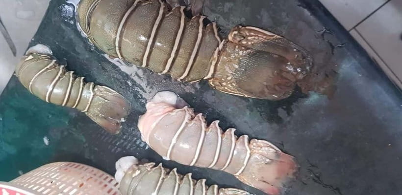 Mumbai Coastal Cooking: From Fishing Net to Flavourful Plate - Key points to know before booking
