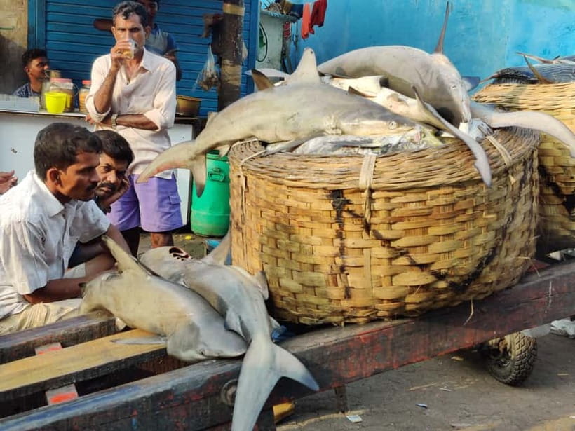 Mumbai Coastal Cooking: From Fishing Net to Flavourful Plate - Simple tips for getting more from the visit
