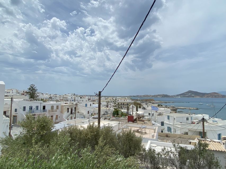 Naxos: Food Walking Tour & Cooking Class with Meal & Drinks - Cheese, olive oil, honey, and citron liqueur