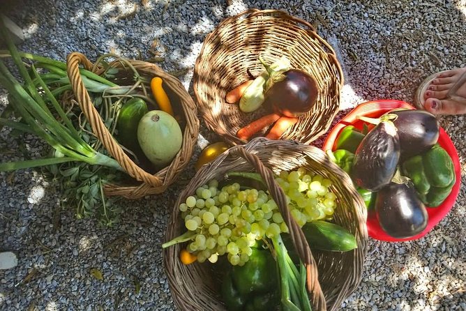 Naxos:Half-day cooking class at Basiliko - A farm visit before the cooking begins
