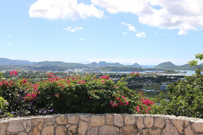 Nicole's Table - Cooking with Rum - Should You Book This Antigua Cooking Class?
