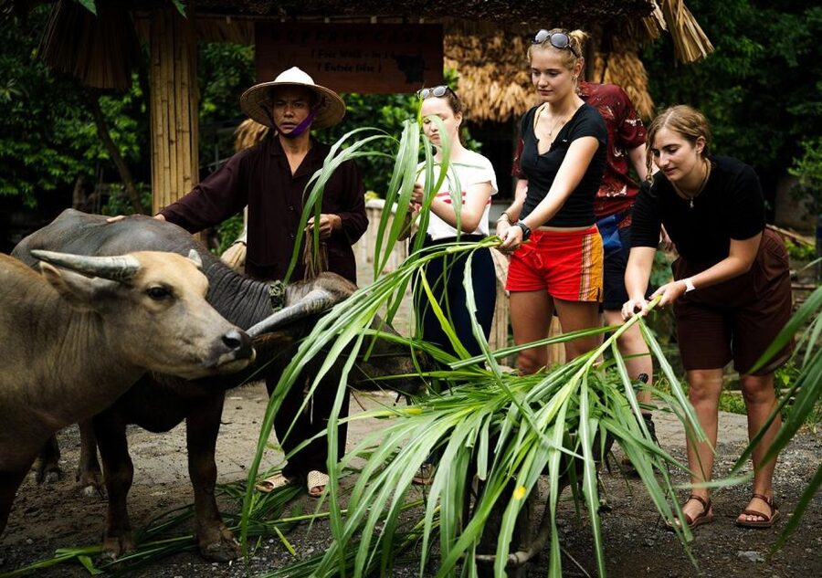 Ninh Binh cooking class at Buffalo Cave - What the $25 price really buys you