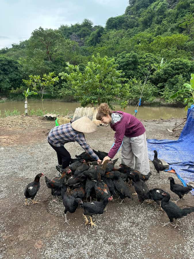 Ninh Binh: Half-Day Cooking Class at a Local Home - Tea, sweet potatoes, and a taste of farm life