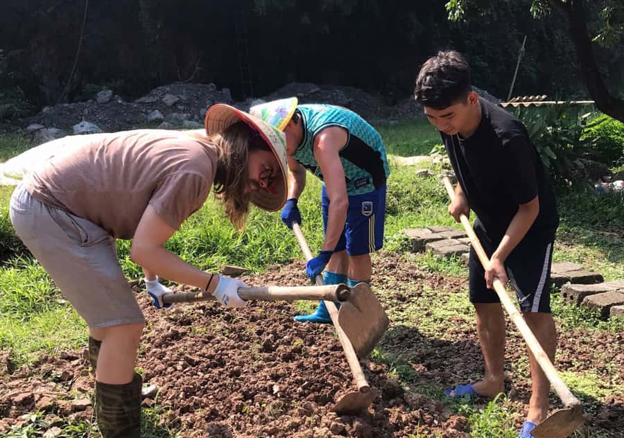 Ninh Binh: Half-Day Cooking Class at a Local Home - Pickup areas and group size