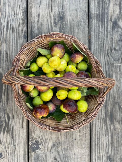 Noto: Farm to Fork in Sicily - Cooking Class in a Farm - Key points to know before booking