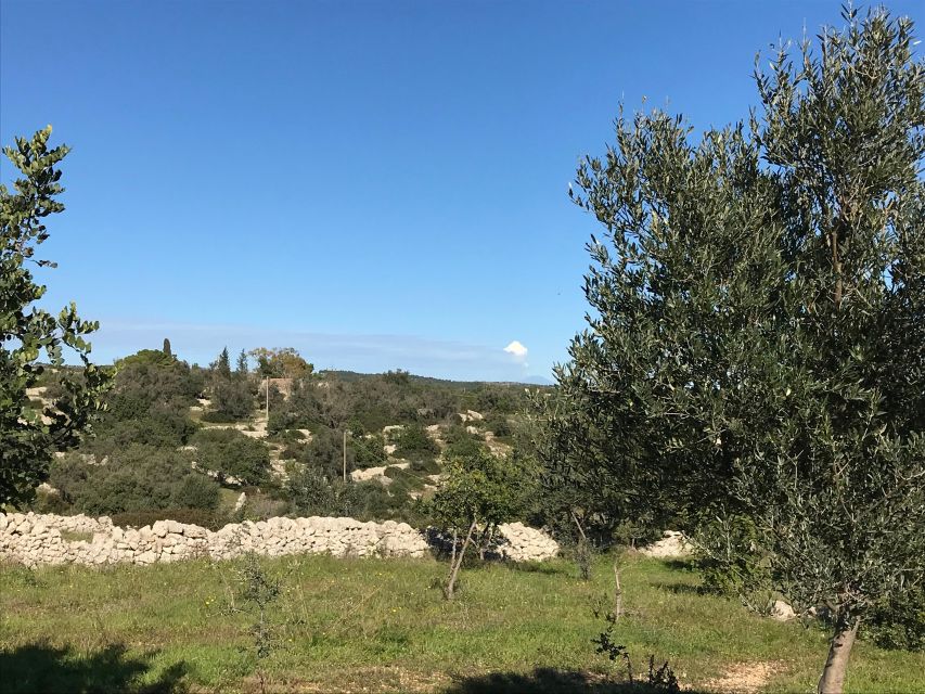 Noto: Farm to Fork in Sicily - Cooking Class in a Farm - Sitting down to eat what you made