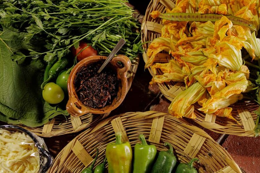 Oaxaca de Juarez: Traditional Oaxacan Cooking Class - Start with the ingredients in an Oaxacan home