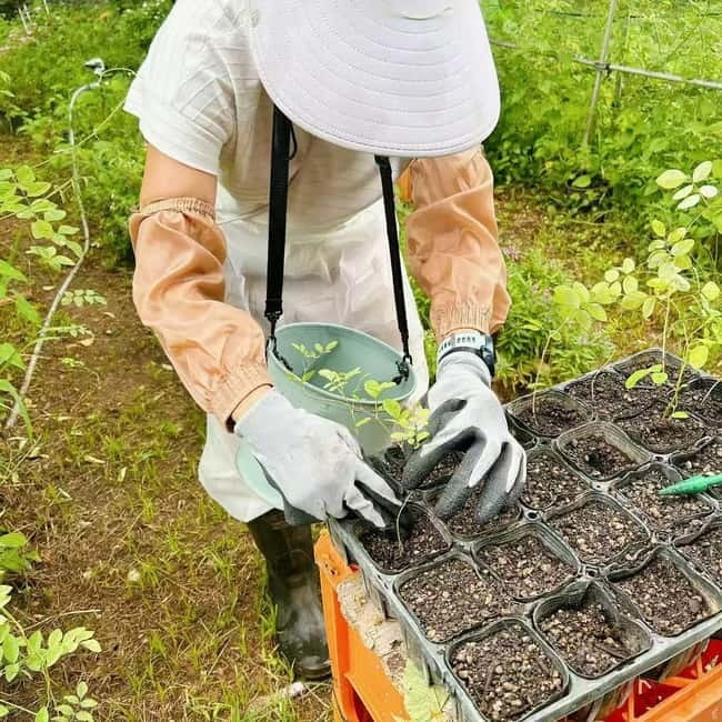 Okinawa: Traditional farming experience & cooking and a meal - What the 61-dollar price includes