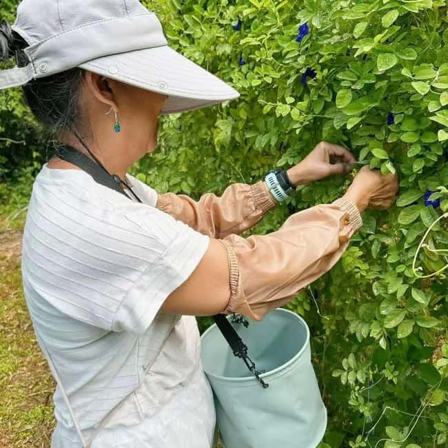 Okinawa: Traditional farming experience & cooking and a meal - Private groups, languages, and practical comfort