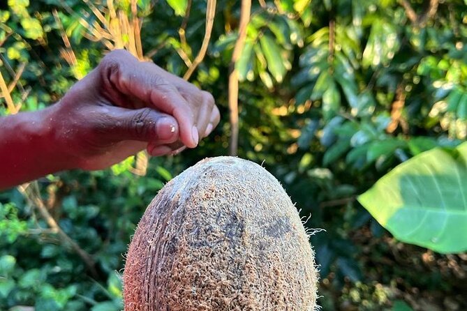 Organic cooking class sigiriya (kumara & family) - Group size, timing, and meeting details