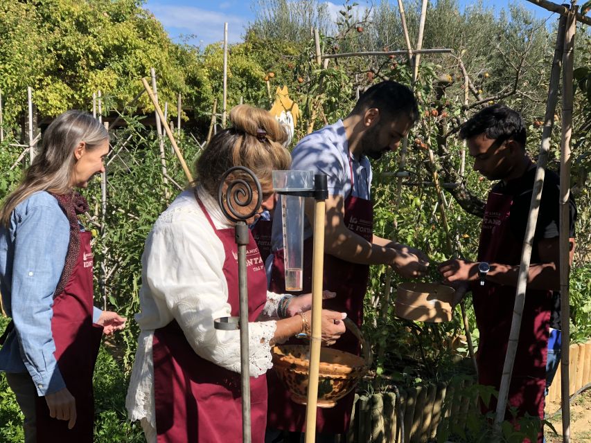 Paciano: Organic Cooking Class at a Farm with Lunch & Wine - Why the small group matters
