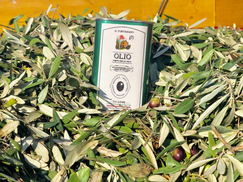 Paciano: Organic Cooking Class at a Farm with Lunch & Wine - Who will enjoy this class most