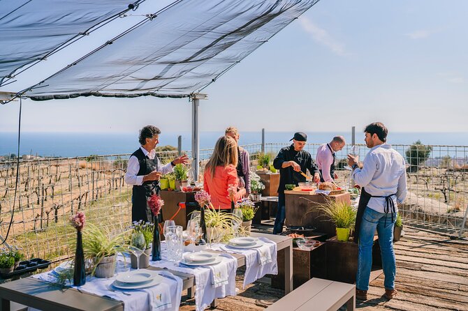 Paella Cooking Experience & Winery Tour from Barcelona - Is $89 a fair price?