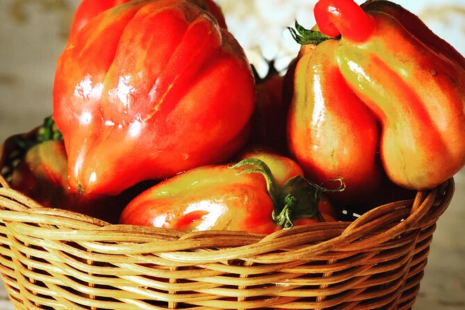 Pasta and Pizza cooking class in Cortona - What to settle before the cooking day