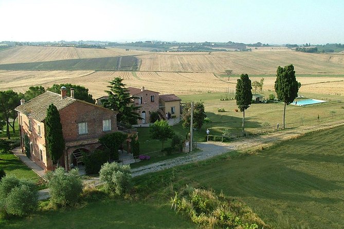Pasta and Pizza cooking class in Cortona - From pizza dough to tagliatelle and ravioli