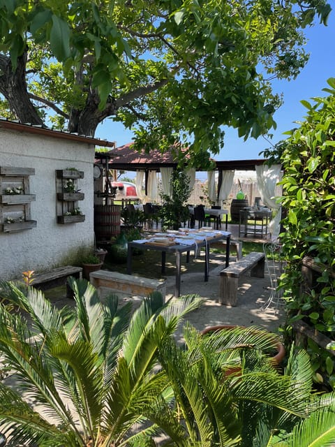 Pasta Cooking Class in a Garden near Pompeii - Who should book this experience