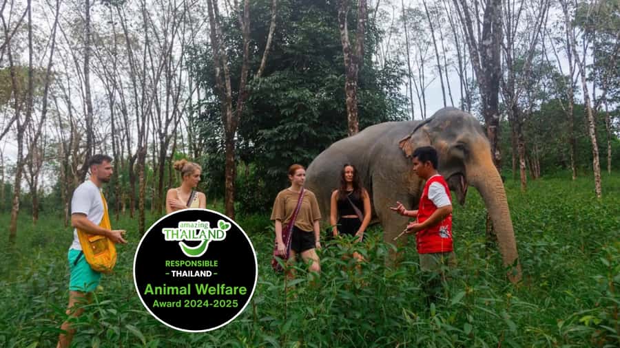 Phuket: Elephant Sanctuary Tour, Cooking Class & Lunch - Why the elephant program matters