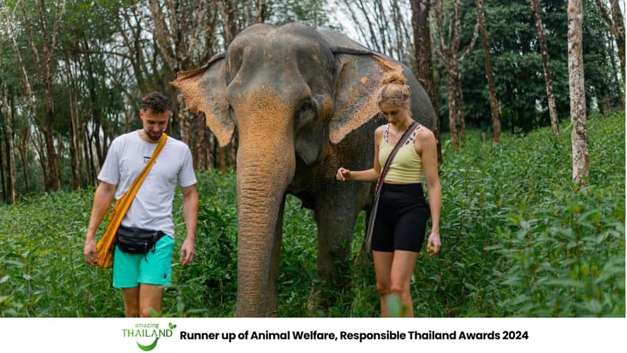 Phuket: Elephant Sanctuary Tour, Cooking Class & Lunch - The two-hour ride from Phuket to Khao Lak