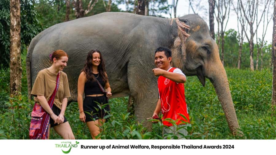 Phuket: Elephant Sanctuary Tour, Cooking Class & Lunch - Walking with elephants through the reserve