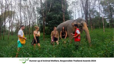 Elephant Sanctuary Tour, Cooking Class & Lunch