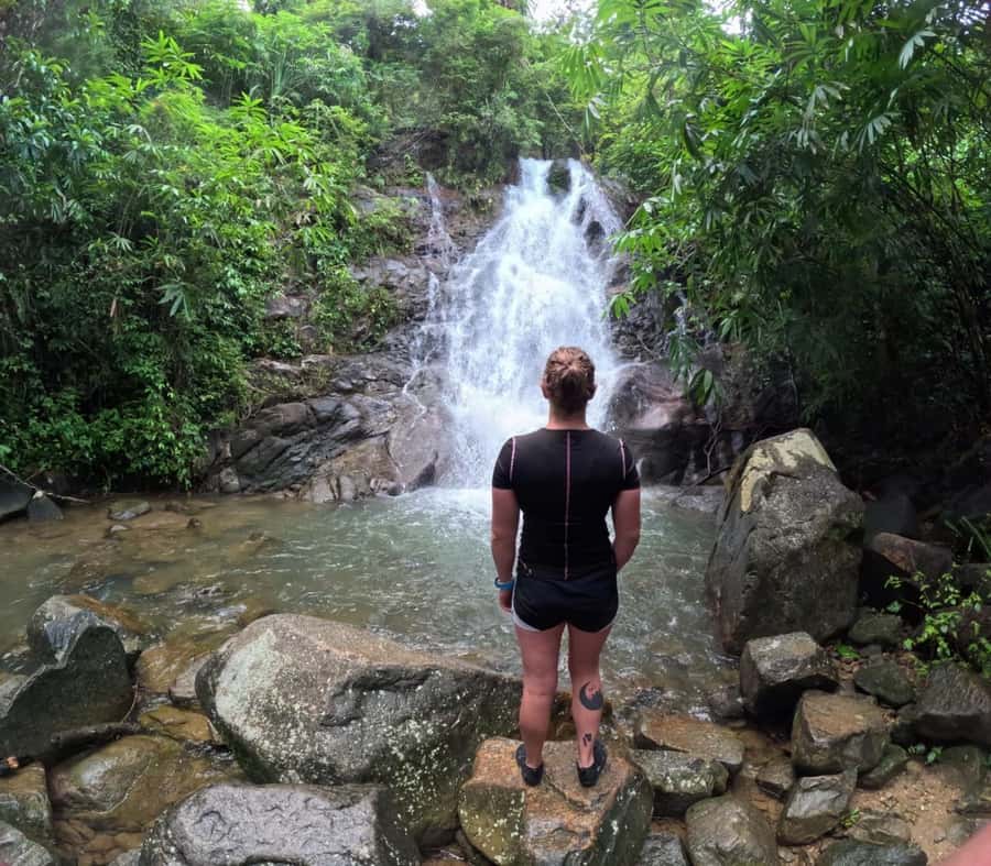 Phuket: Elephant Sanctuary Tour, Cooking Class & Lunch - Cutting grass and helping with elephant food