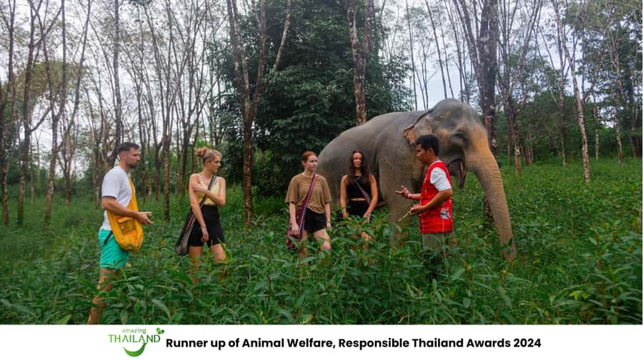 Phuket: Elephant Sanctuary Tour, Cooking Class & Lunch - Meeting the sanctuary team near Sai Rung Waterfall