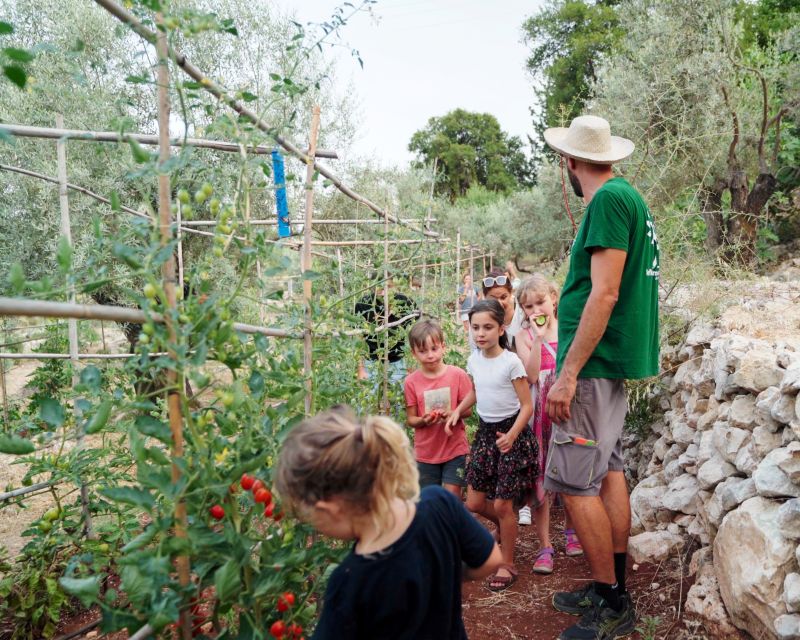 Phyllo Pie Baking Class @ Lefkada Micro Farm - Sharing the Meal at the Farmer’s Table