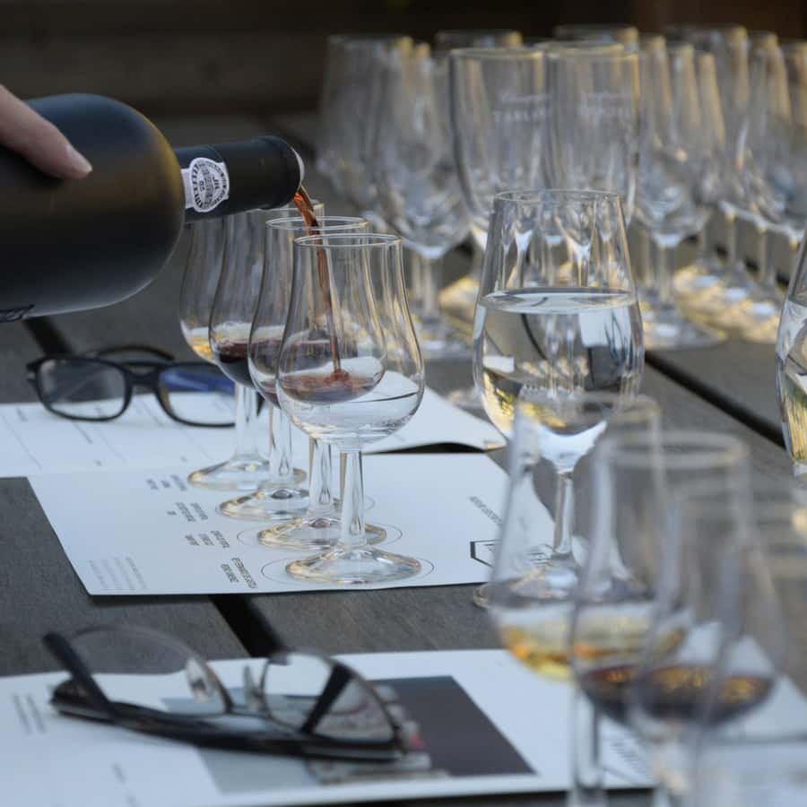 Premium Empanadas Cooking Class & Wine Tasting Experience - Is $49 a fair price?