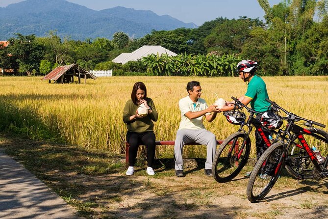 Private Bicycle Tour to Chiang Mai and Thai Cooking Class - Bo Sang umbrellas and the road to San Kamphaeng